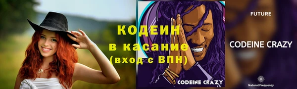 тгк Пересвет