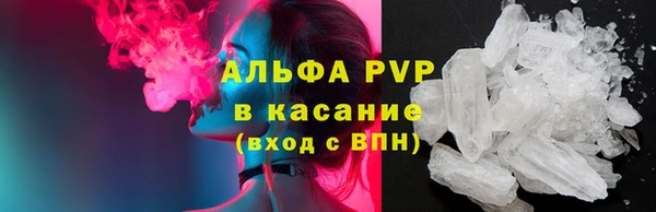 прущие грибы Покачи