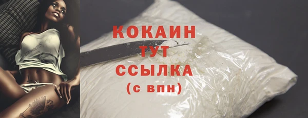 крисы Губаха