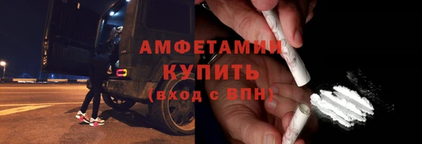 прущие грибы Покачи