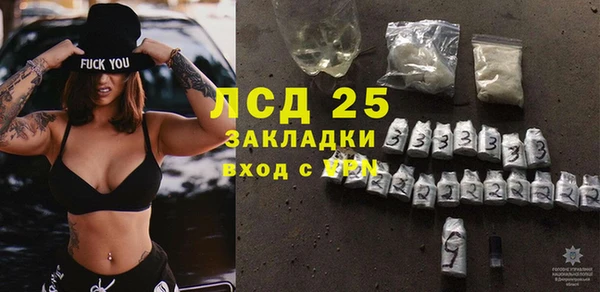 гашик Майский