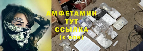 прущие грибы Покачи