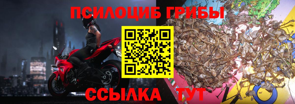 Галлюциногенные грибы Psilocybine cubensis  Вход с VPN  Луховицы 